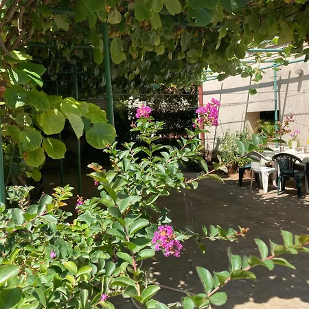 Apartment Gea