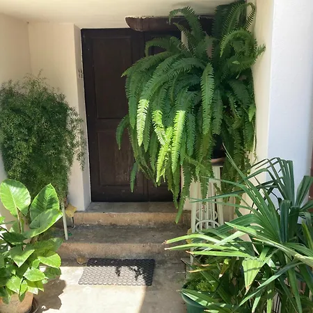 Apartment Gea *
